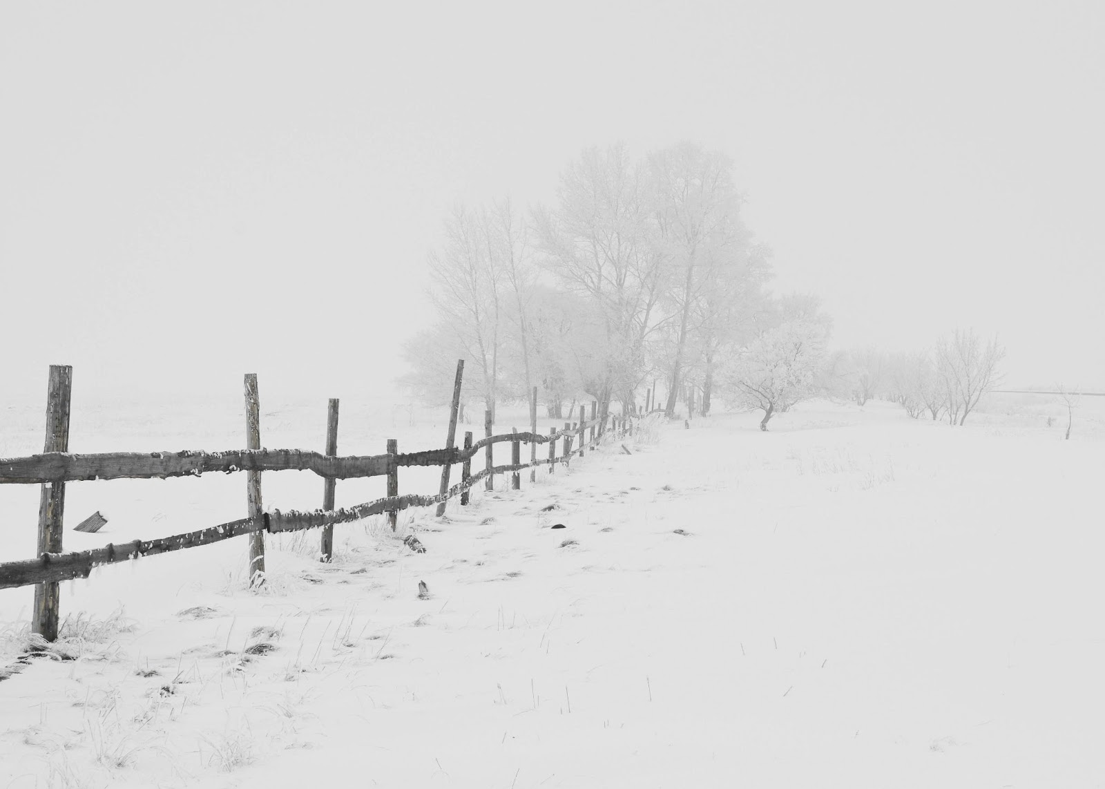 Snowy field with fence