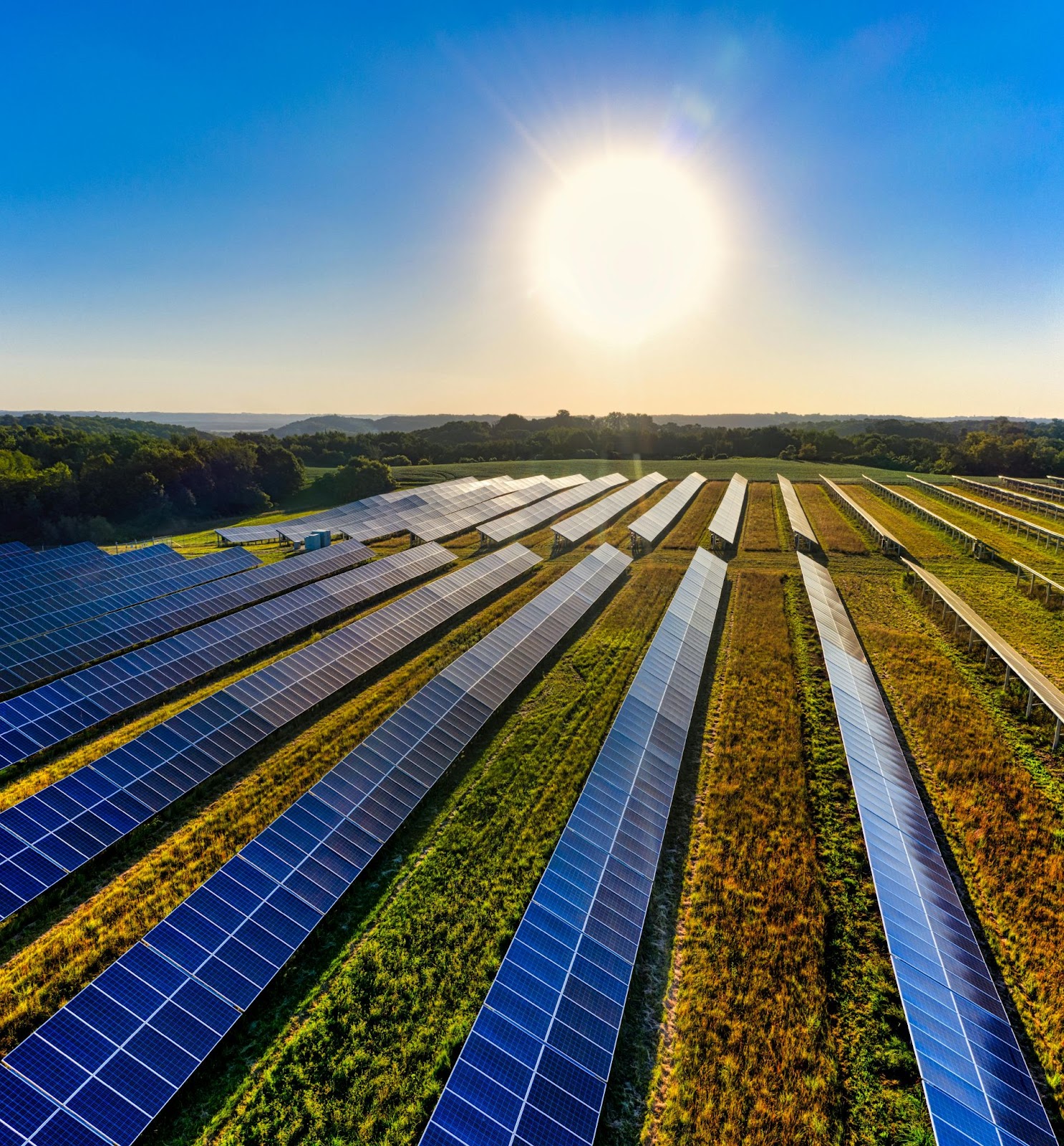 Solar panels in a field with bright sun in the sky